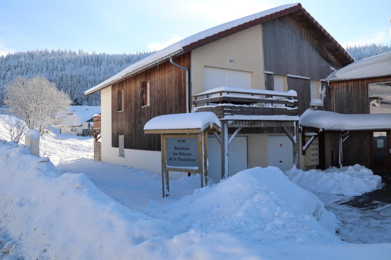 Apartment Location Les Balcons De La Mauselaine Gerardmer Exterior photo