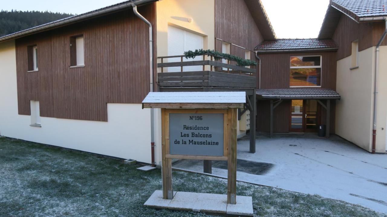 Apartment Location Les Balcons De La Mauselaine Gerardmer Exterior photo